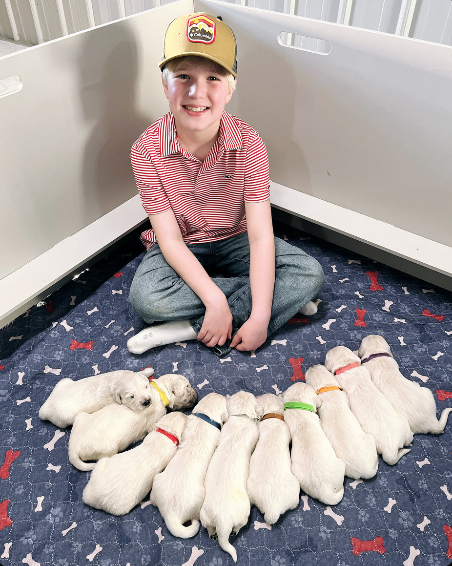 a boy sitting on the floor with many puppies