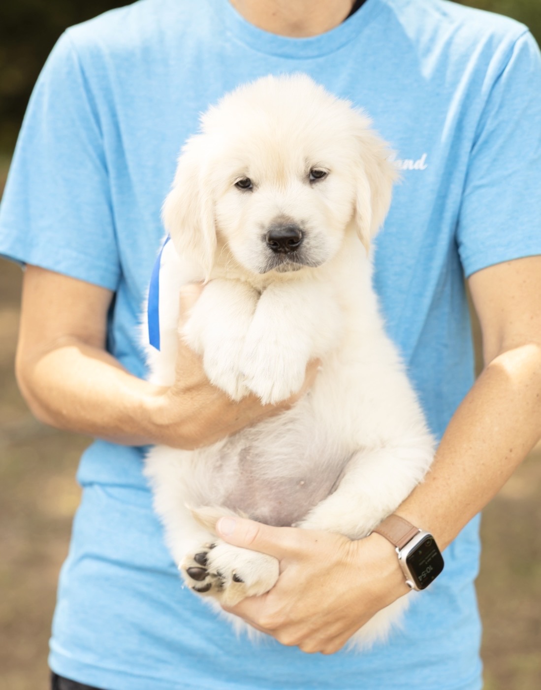 a person holding a puppy