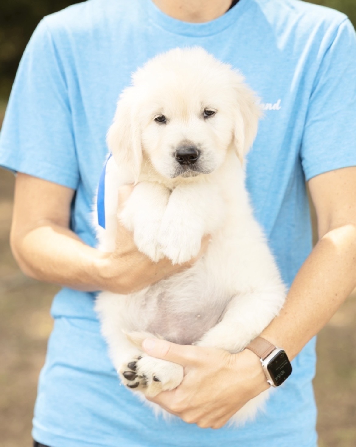 a person holding a puppy