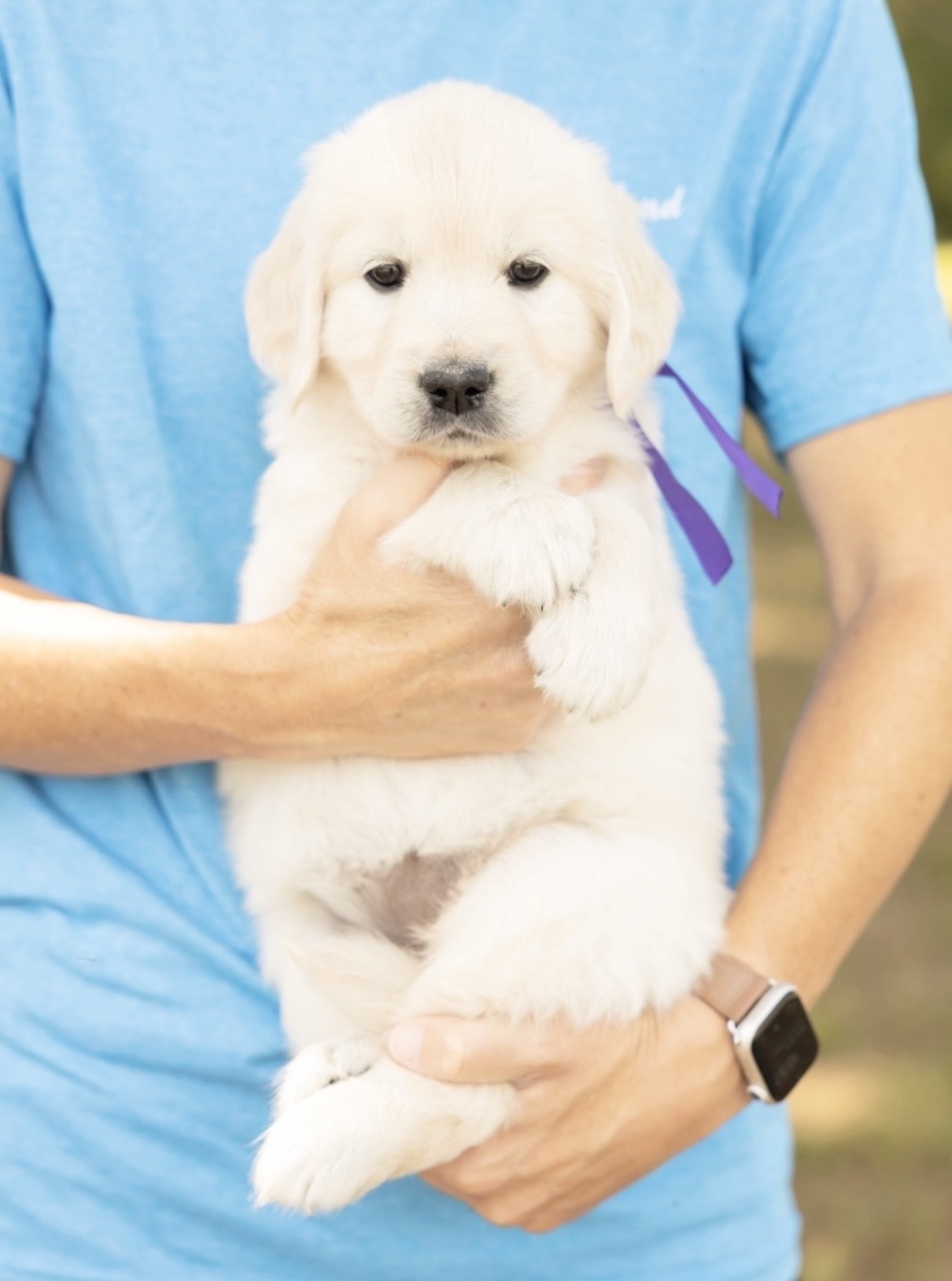 a person holding a puppy